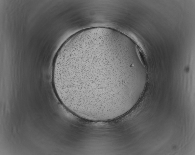 X0000094351140200711241909