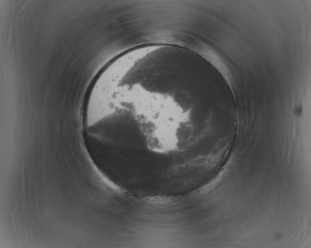 X0000094351141200711241909