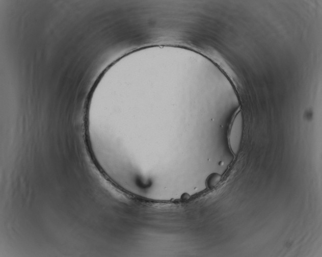 X0000094351142200711241909