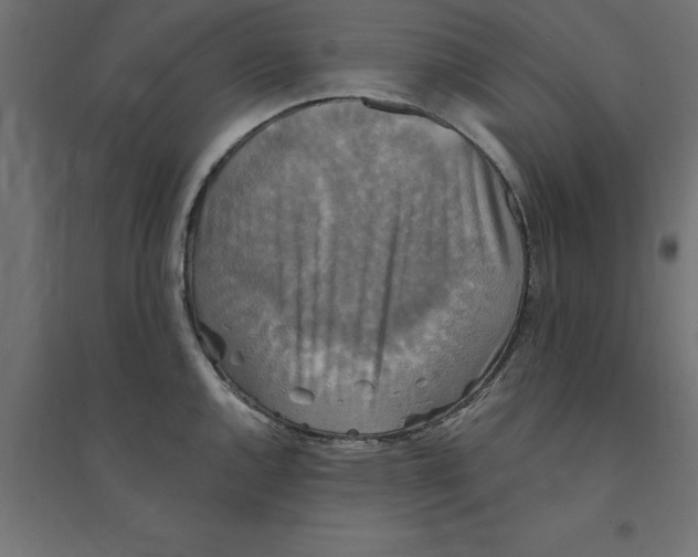 X0000094351144200711241909