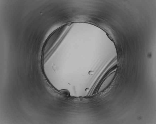 X0000094351146200711241909