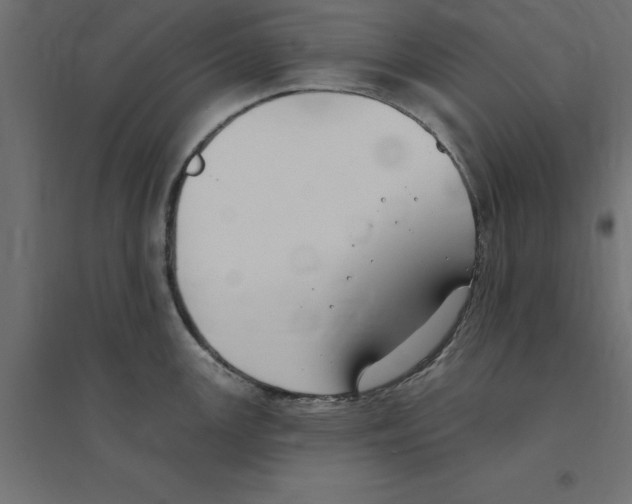 X0000094351147200711241909