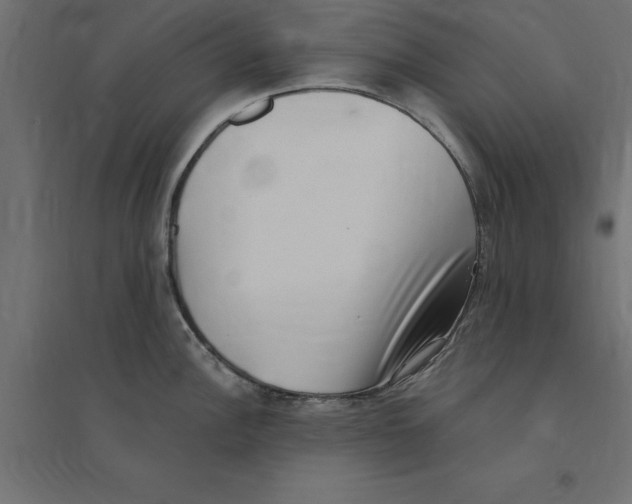 X0000094351148200711241909