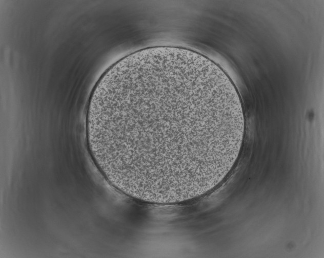 X0000094351150200711241909