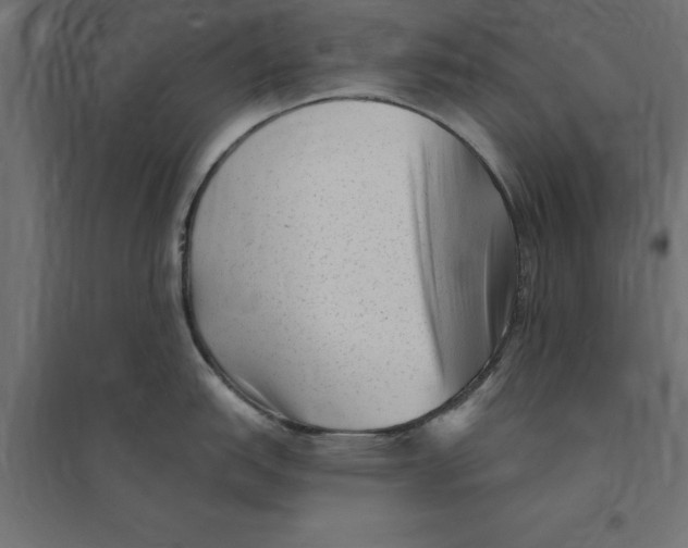 X0000094351151200711241909