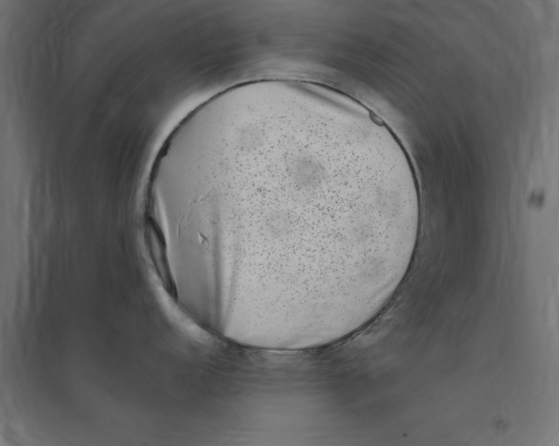 X0000094351152200711241909