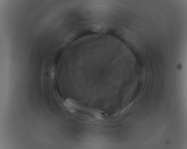 X0000094351154200711241908