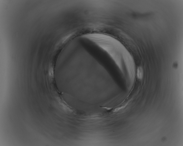 X0000094351155200711241908