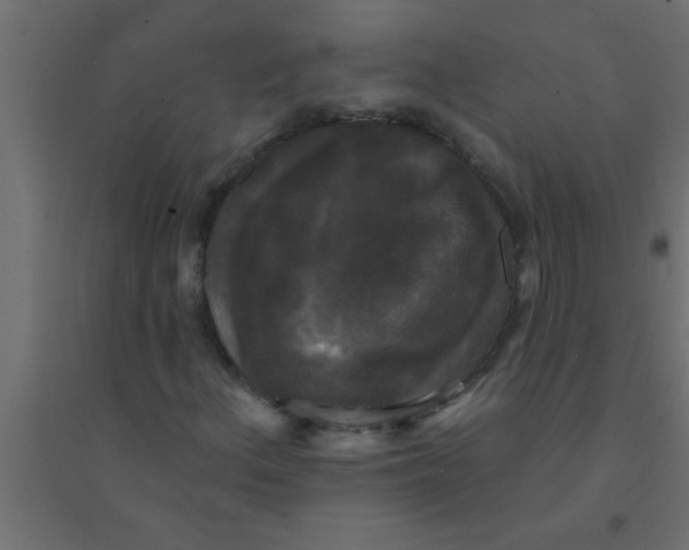 X0000094351156200711241908