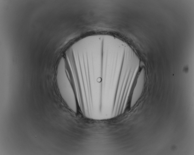 X0000094351157200711241908