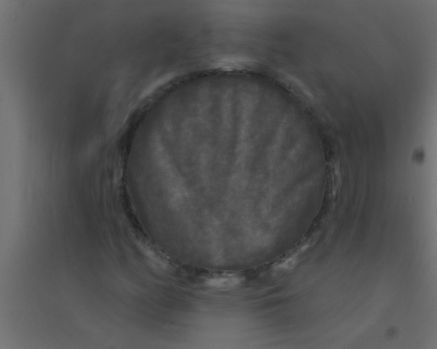 X0000094351158200711241908