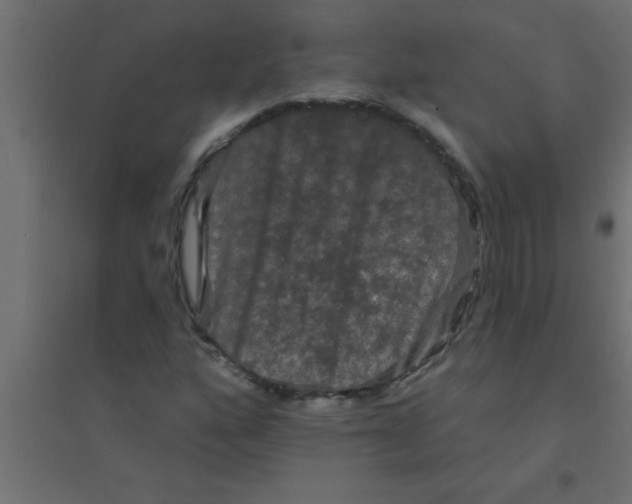 X0000094351160200711241908