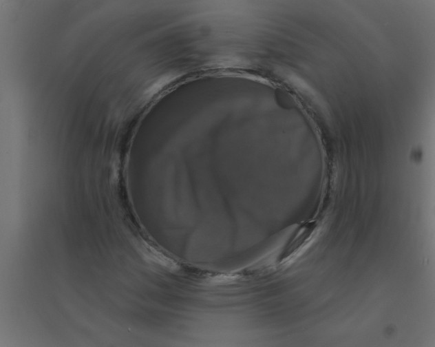 X0000094351161200711241908