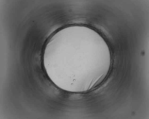 X0000094351162200711241908