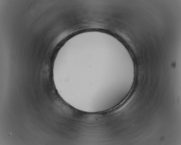 X0000094351163200711241908