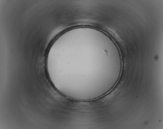 X0000094351164200711241908