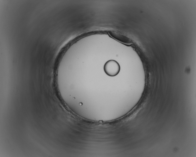 X0000094351165200711241908