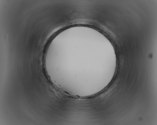 X0000094351166200711241908