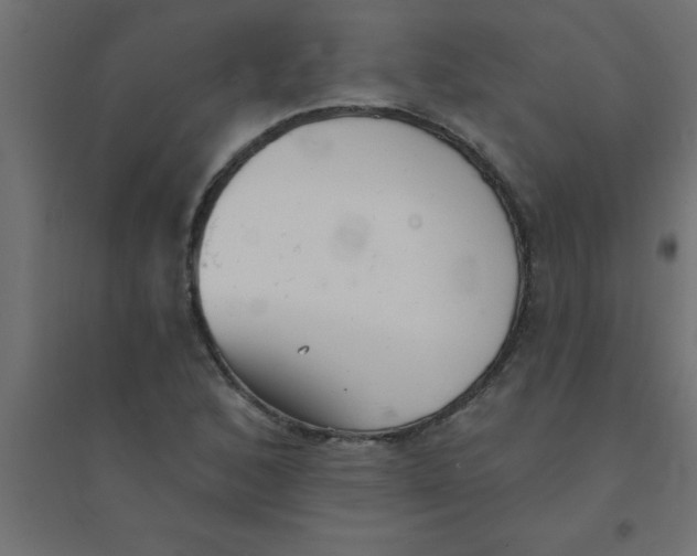 X0000094351168200711241908