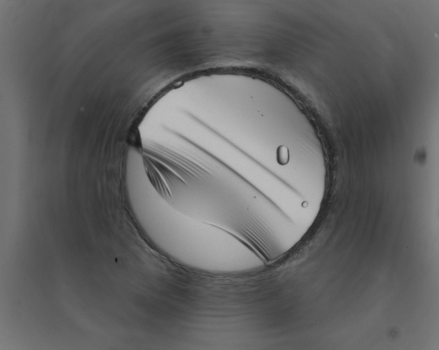 X0000094351169200711241908