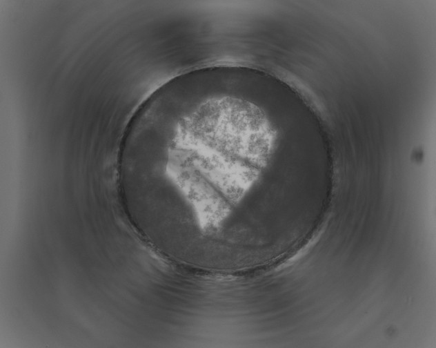 X0000094351170200711241908