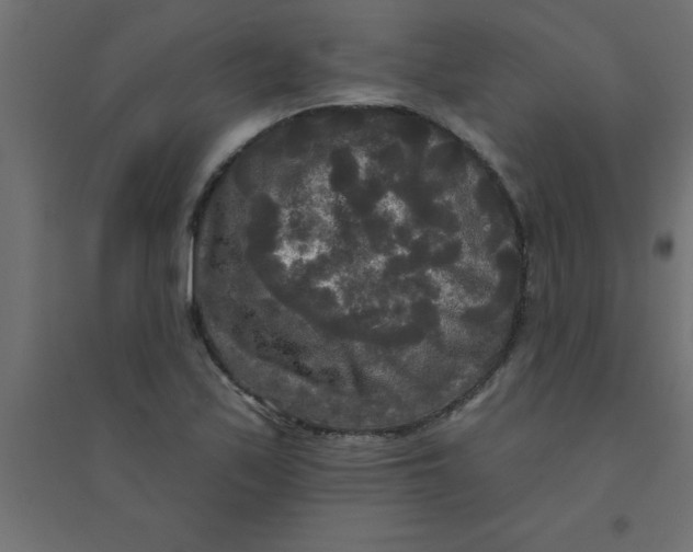 X0000094351171200711241908