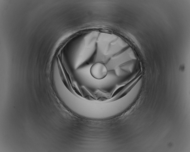 X0000094351172200711241908