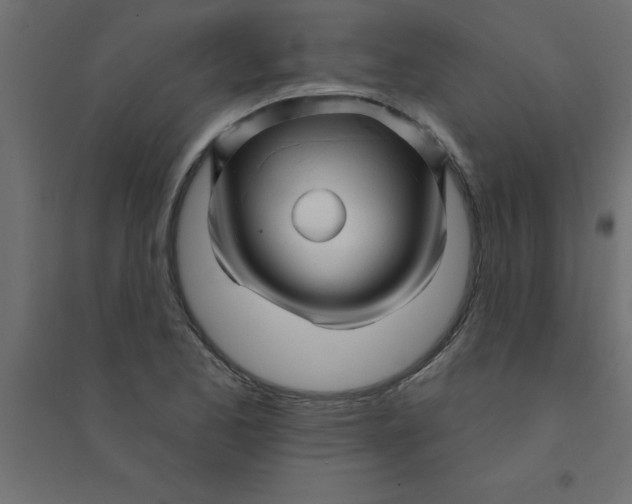 X0000094351173200711241908