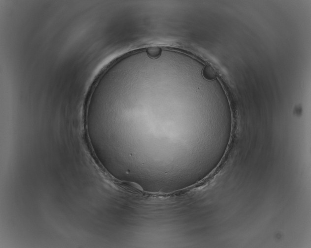 X0000094351174200711241908