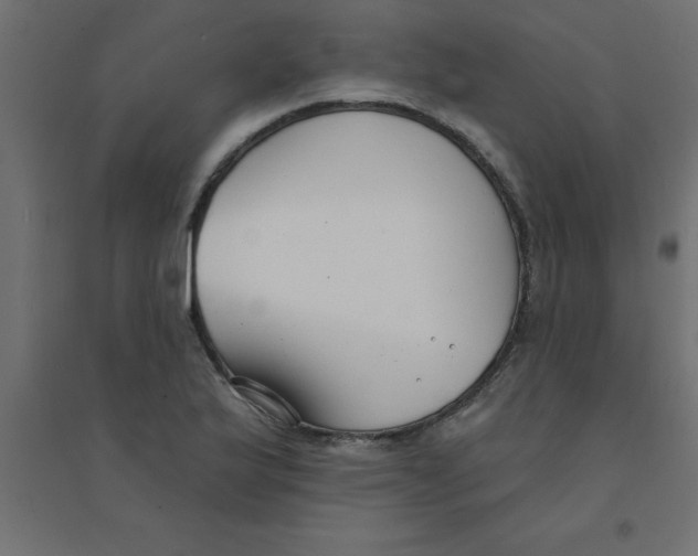 X0000094351175200711241908