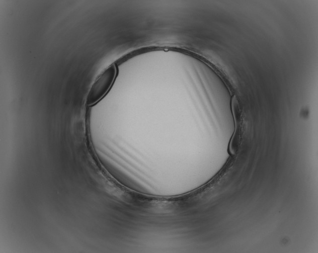 X0000094351176200711241908