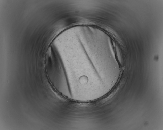 X0000094351177200711241908