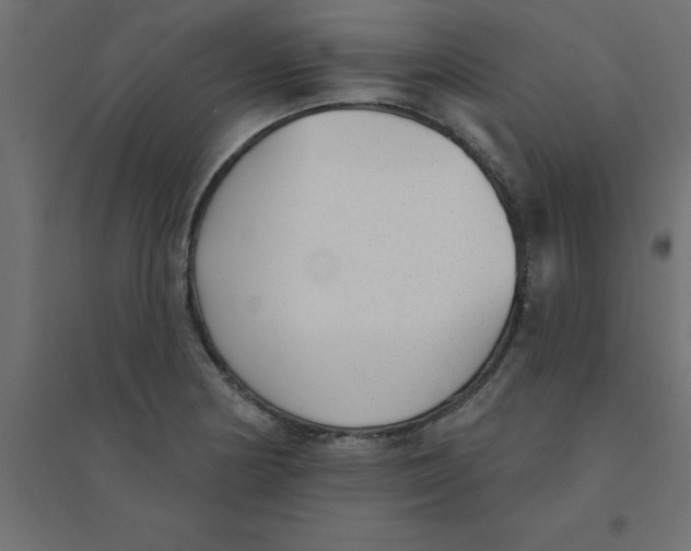 X0000094351178200711241908