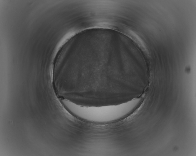 X0000094351180200711241908