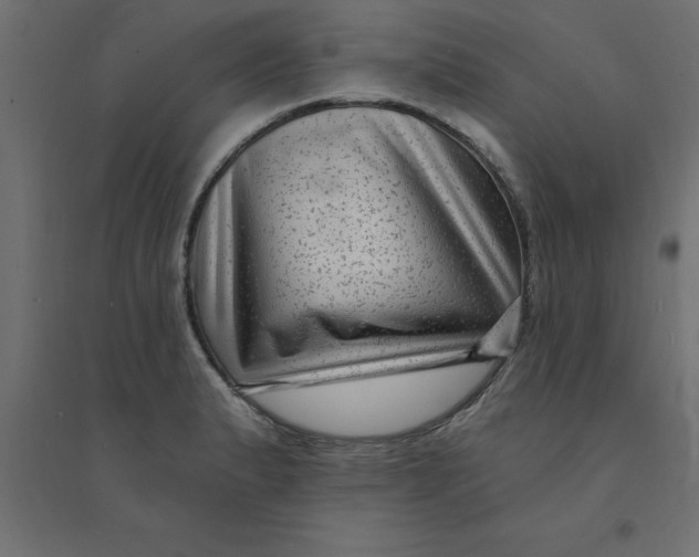 X0000094351183200711241908