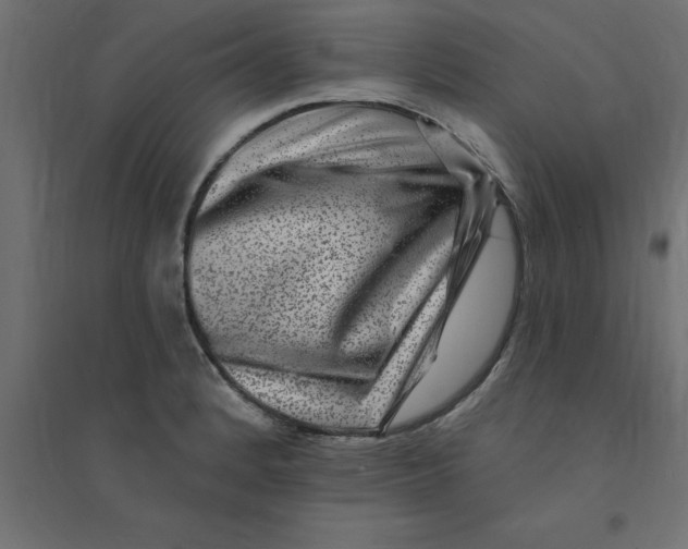 X0000094351184200711241908