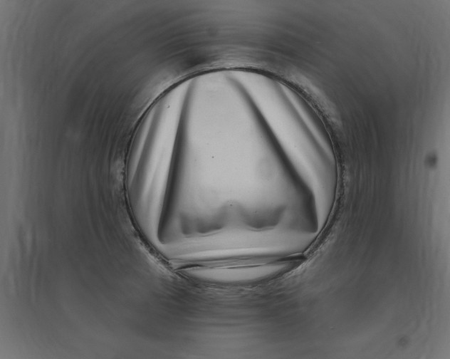 X0000094351185200711241908