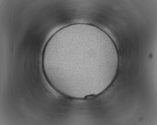 X0000094351187200711241908