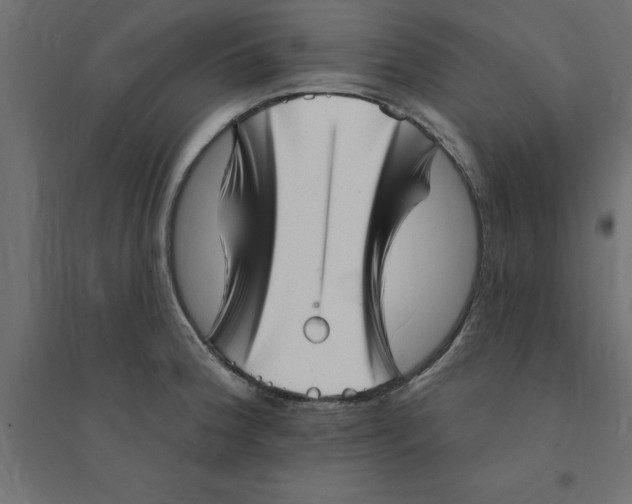 X0000094351188200711241908