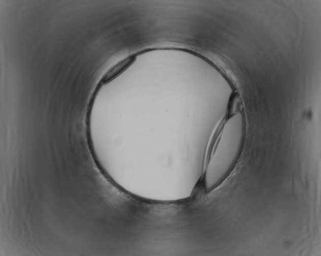 X0000094351189200711241908