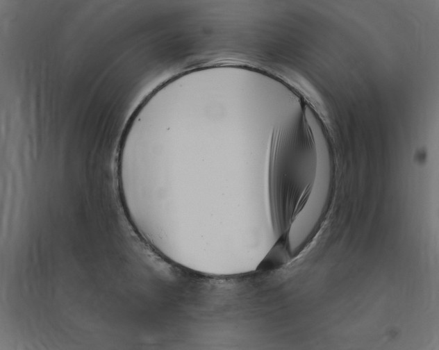 X0000094351190200711241908