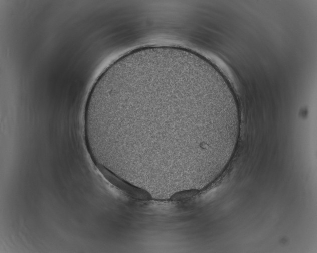 X0000094351191200711241908