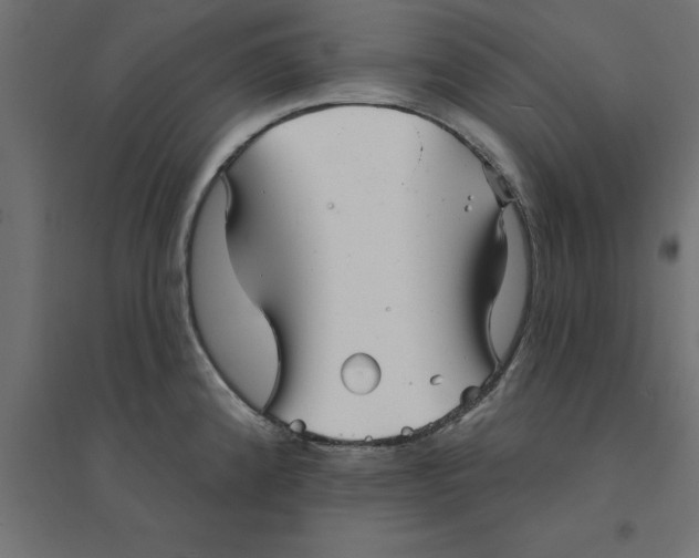 X0000094351192200711241908