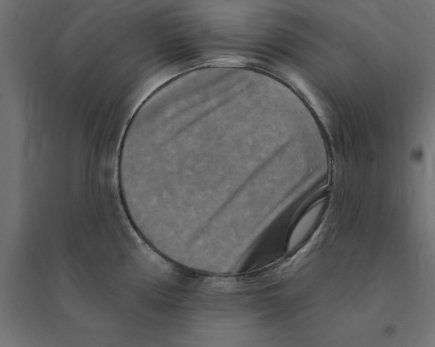 X0000094351194200711241908