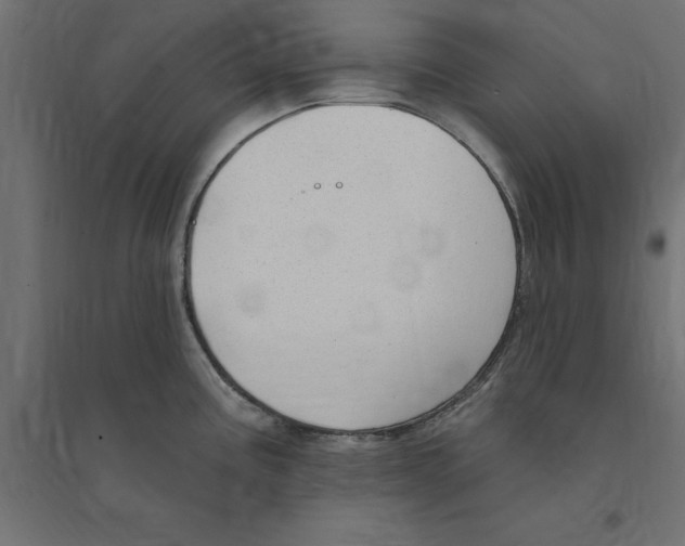 X0000094351195200711241908