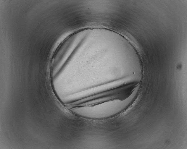 X0000094351196200711241908