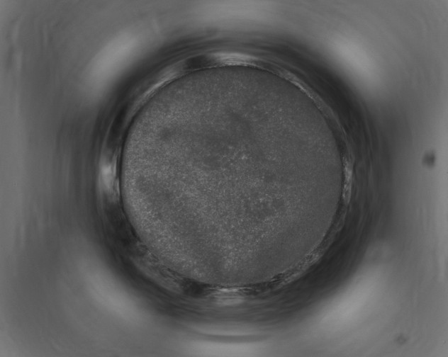 X0000094351198200711241908