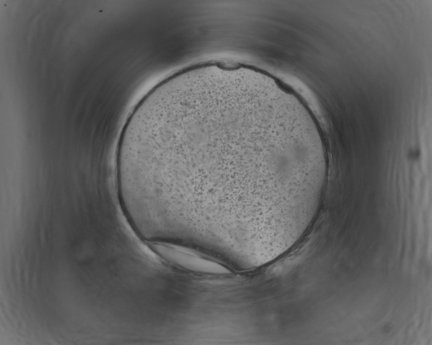 X0000094351199200711241908