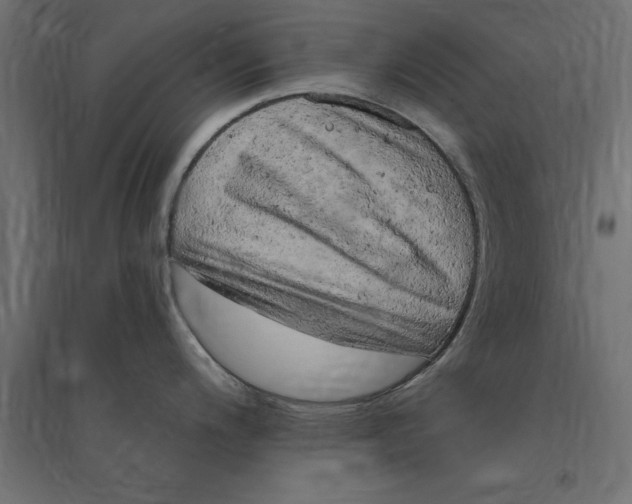 X0000094351200200711241908