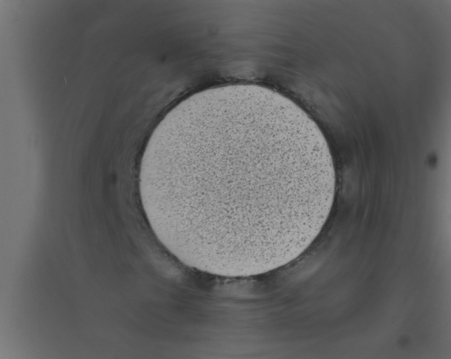 X0000094351201200711241907